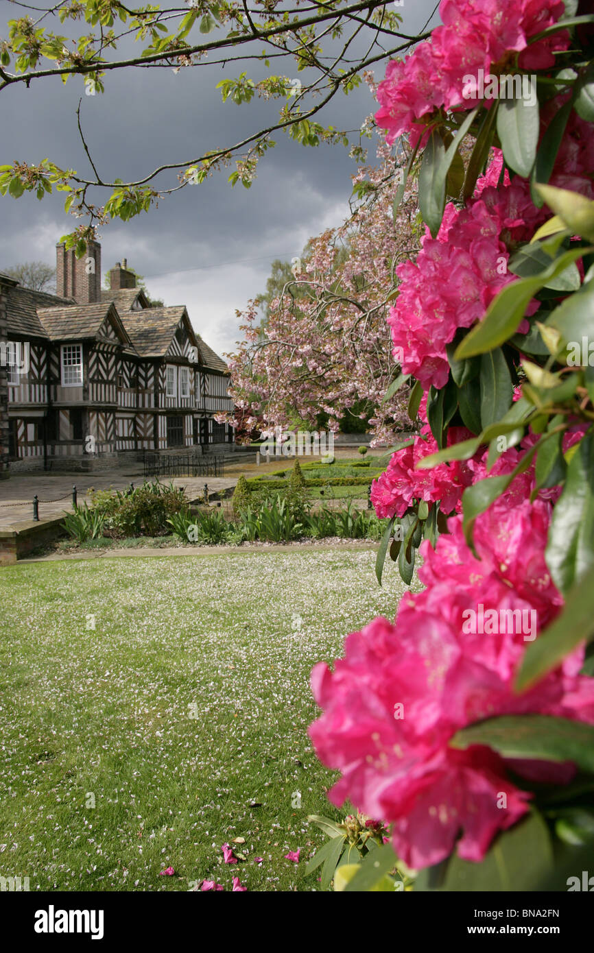 Adlington Hall & Gardens, England. The Tudor exterior of Adlington Hall with red rhododendrons in full bloom. Stock Photo