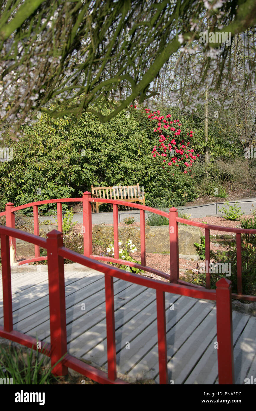 Chester Zoological Gardens. Spring view of a Japanese style wooden red bridge at Chester Zoo’s Rock Garden. Stock Photo