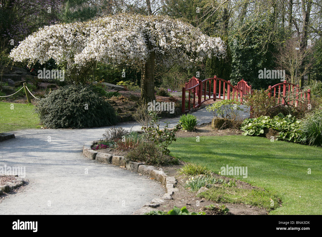 Chester Zoological Gardens. Path leading to Chester Zoo’s Rock Garden. Stock Photo