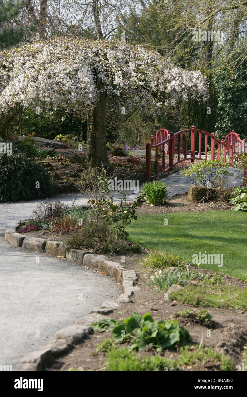 Chester Zoological Gardens. Path leading to Chester Zoo’s Rock Garden. Stock Photo