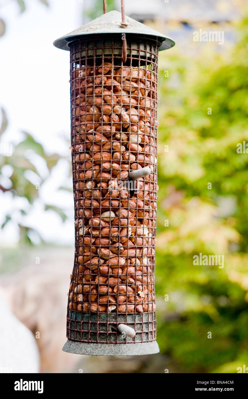 Garden feeder for wild birds Stock Photo Alamy