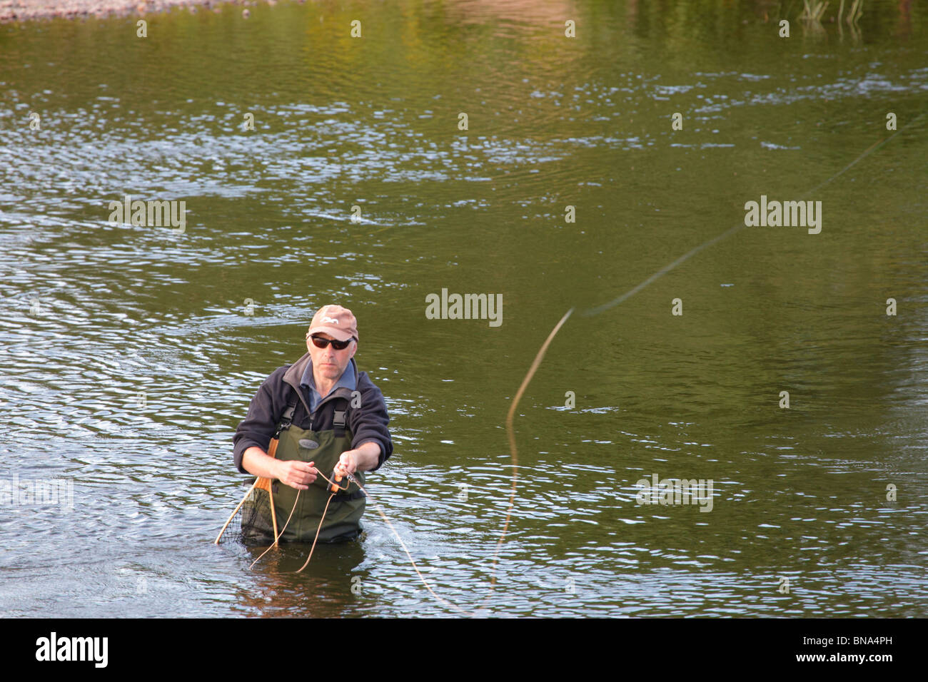 Fly Fisherman wading in the River Eden fishing for Sea Trout near Carlisle, Cumbria, England, United Kingdom. Stock Photo
