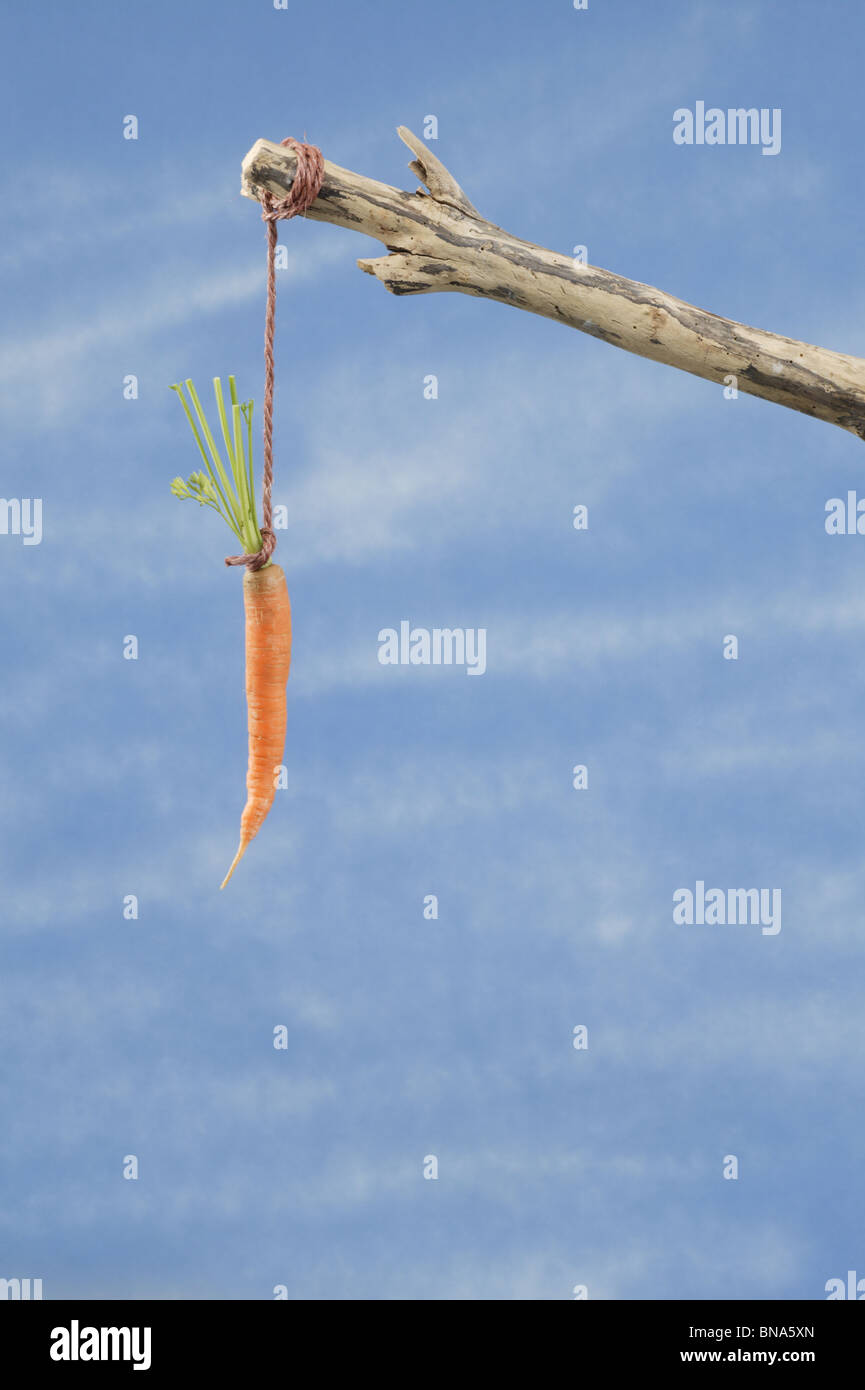 Carrot and stick hires stock photography and images Alamy