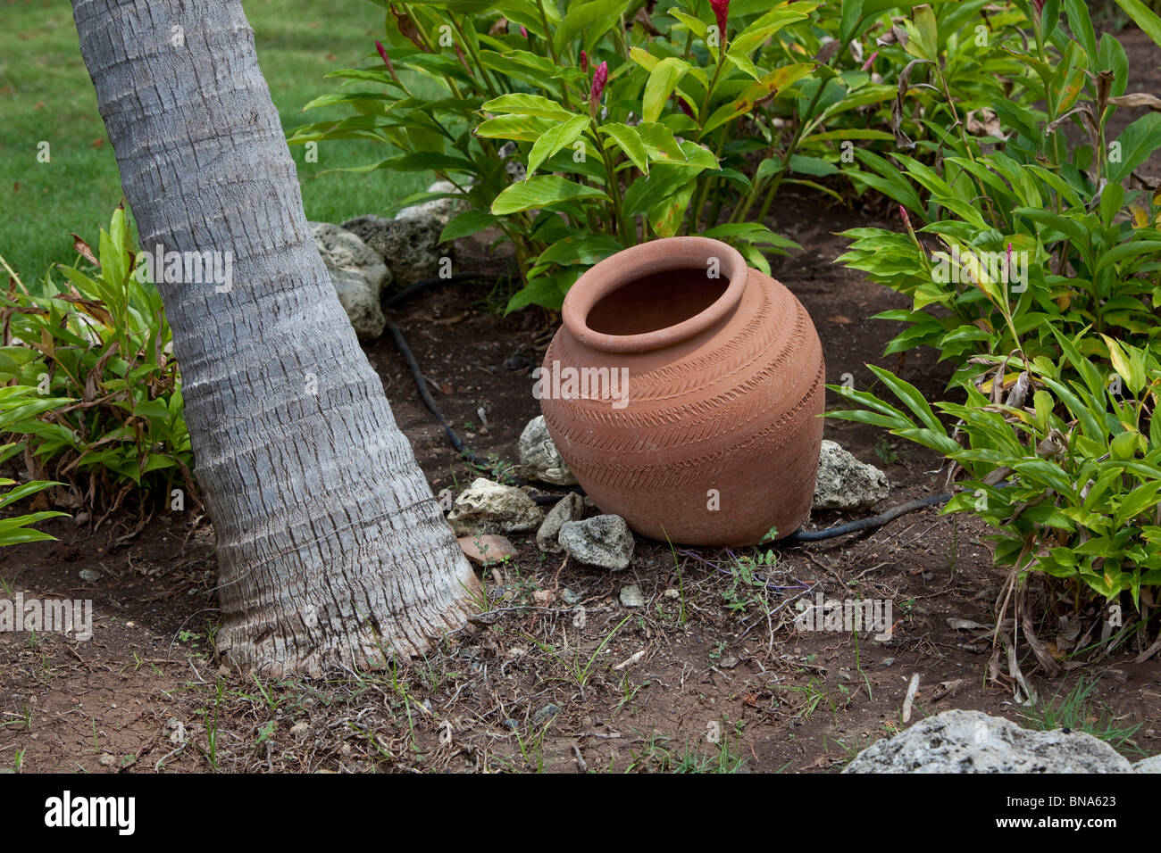 a palm tree trunk and plant pot Stock Photo - Alamy