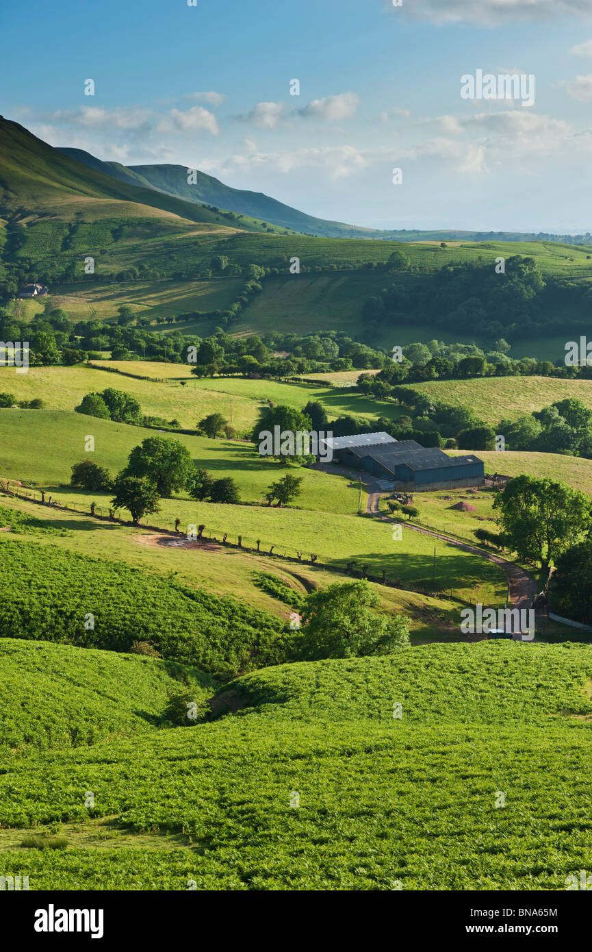 View over common and farm lands From near Hay Bluff, Brecon Beacons