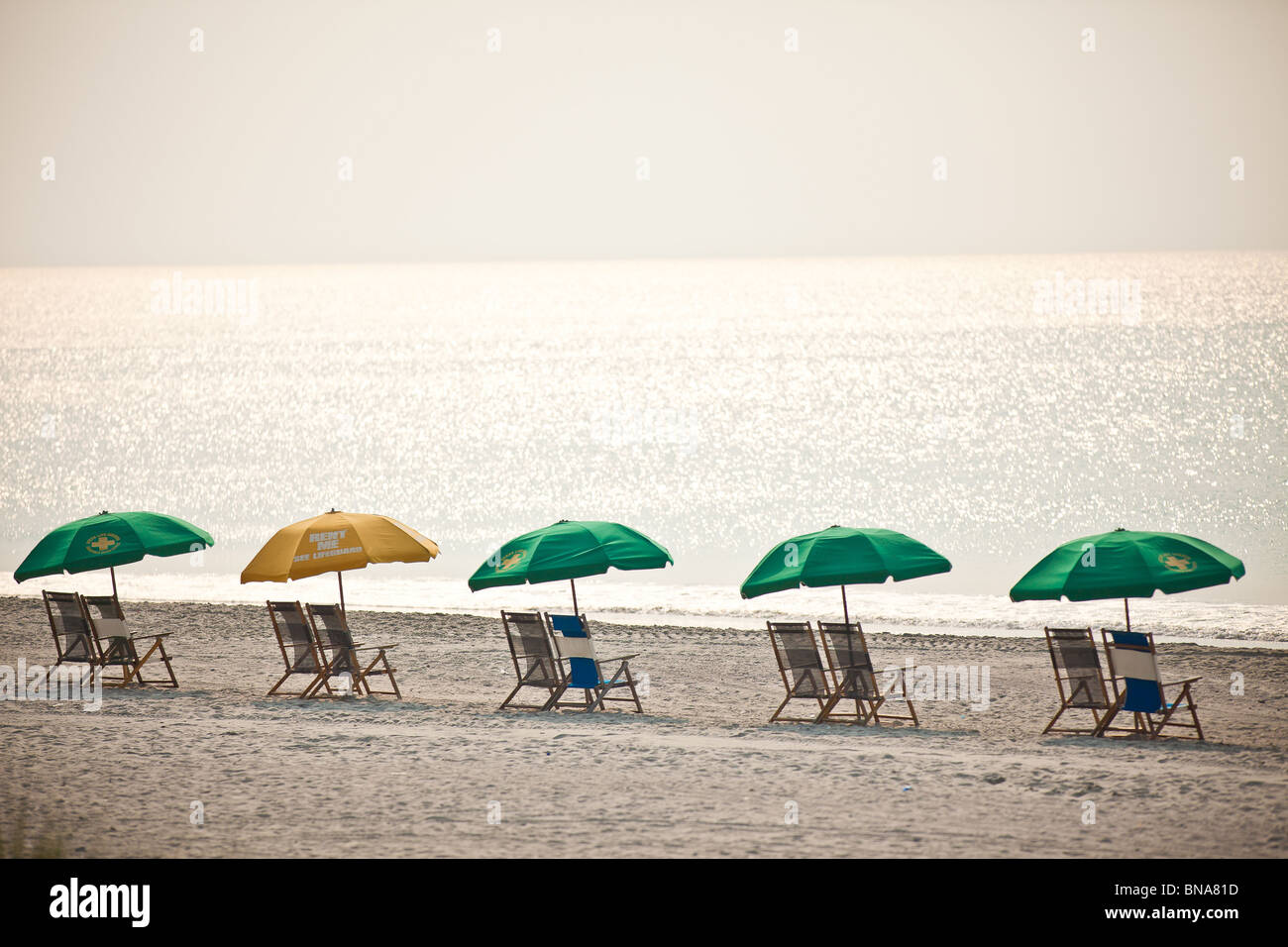Beach umbrellas on the beach in Myrtle Beach, SC Stock Photo Alamy