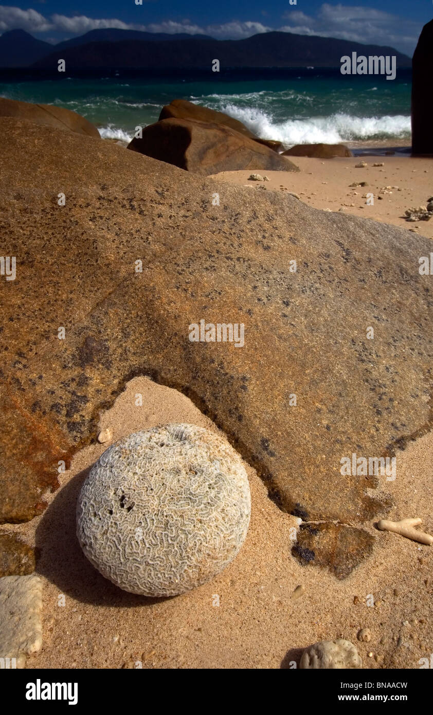 Rocks, sand and coral rubble on the beach at Fitzroy Island National Park, Great Barrier Reef Marine Park, Queensland, Australia Stock Photo