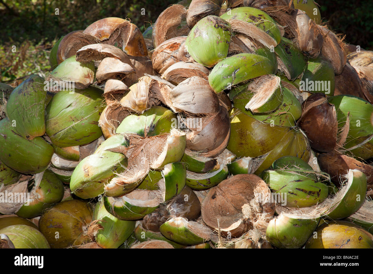 Coconut husks shells Stock Photo - Alamy