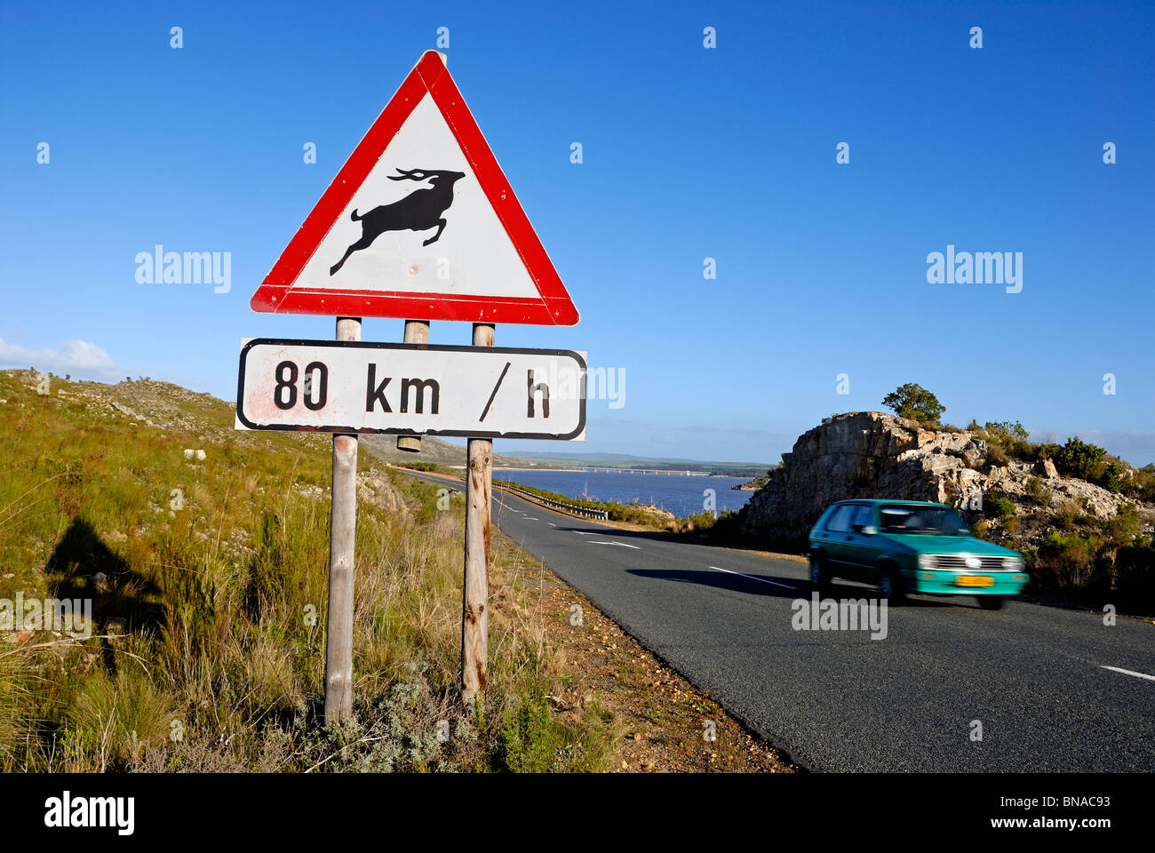 Antelope road sign and speeding car between Stellenbosch and Franschhoek, South Western Cape, South Africa Stock Photo