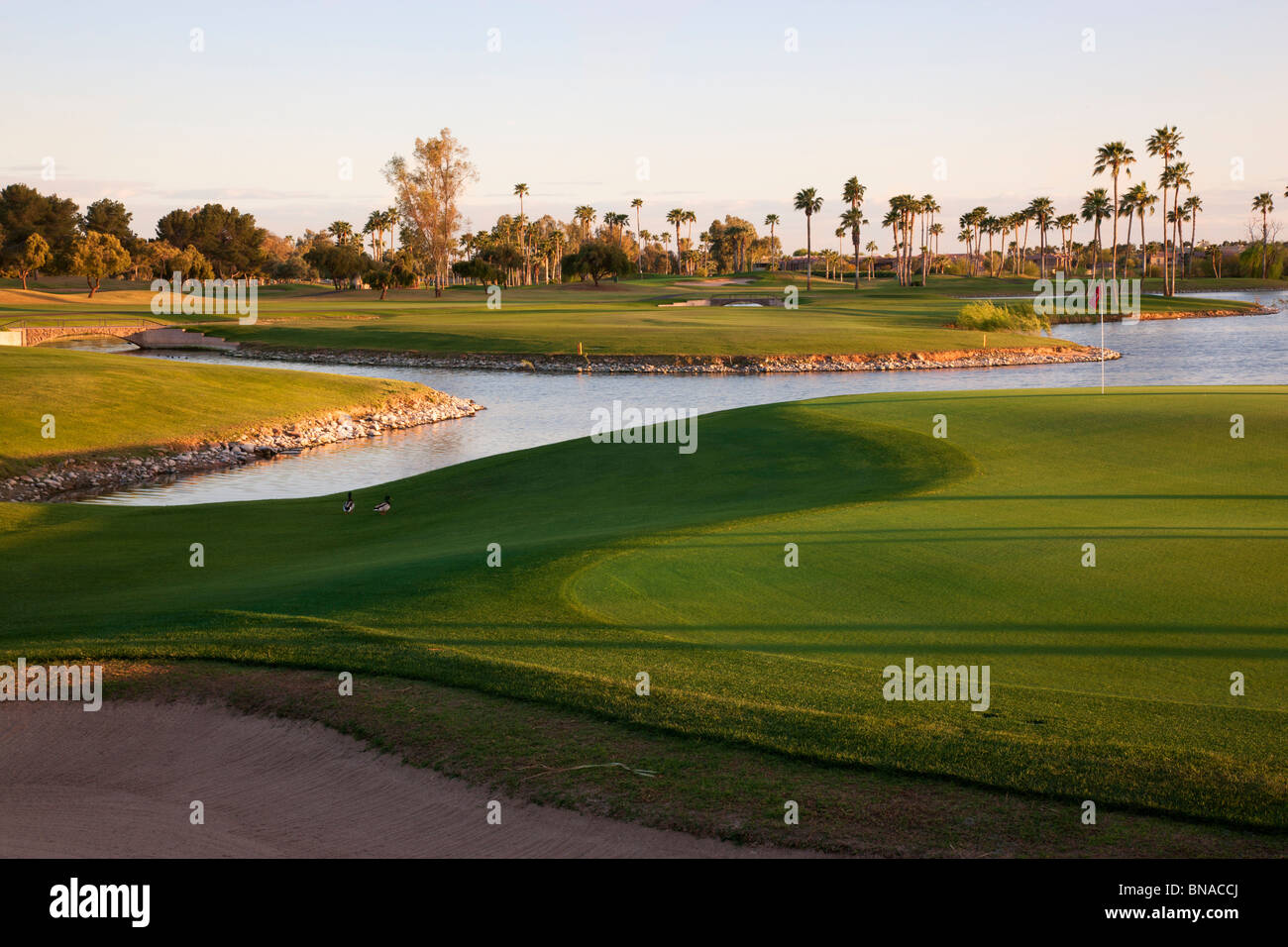McCormick Ranch Golf Course, Scottsdale, Arizona. Stock Photo