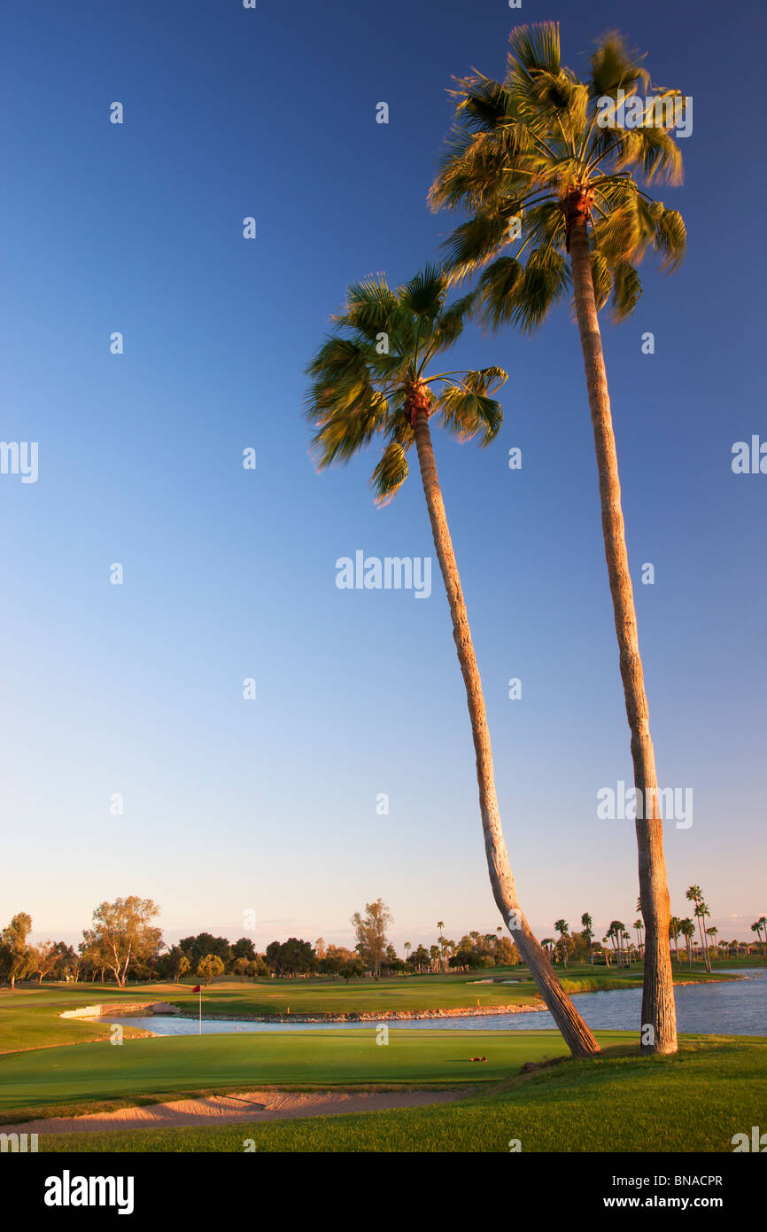 McCormick Ranch Golf Course, Scottsdale, Arizona. Stock Photo