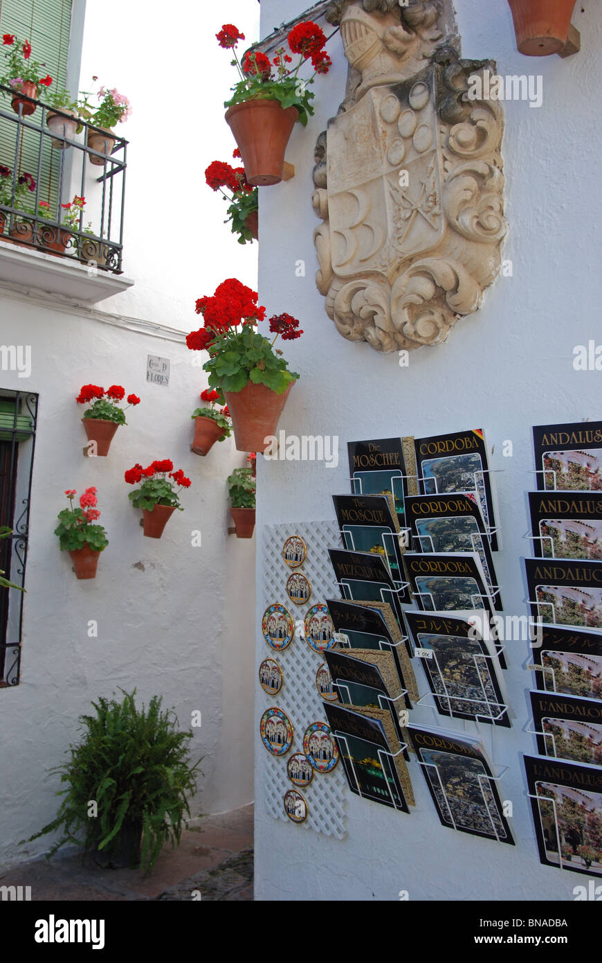 Calle de las flores cordoba hi-res stock photography and images - Alamy