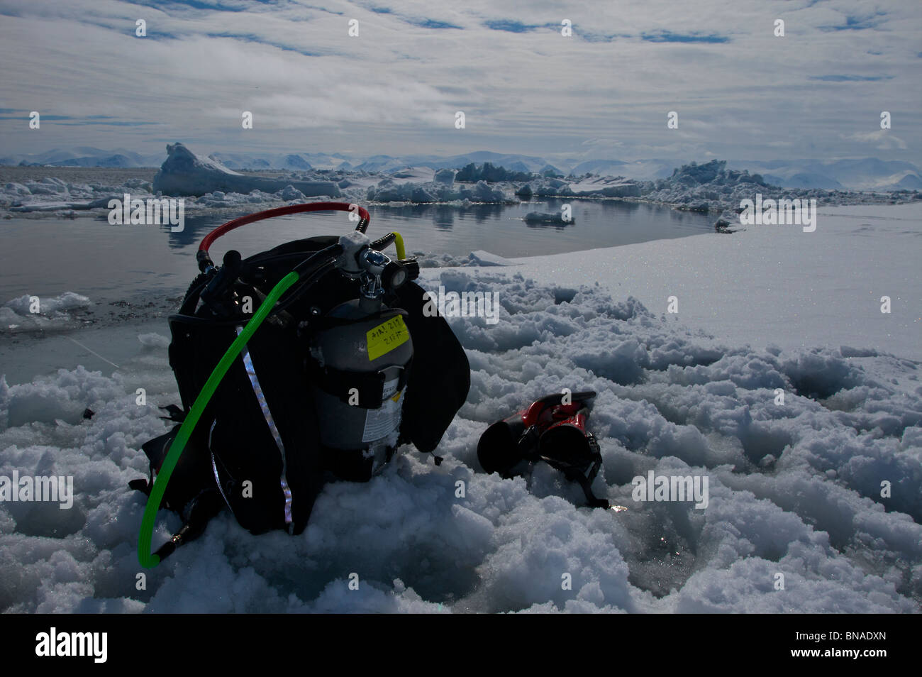 Spring Floe Edge Diving in the Canadian High Arctic Stock Photo