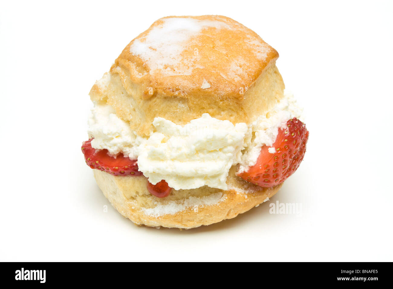 Cream Scone with strawberry from low perspective isolated against whitebackground. Stock Photo