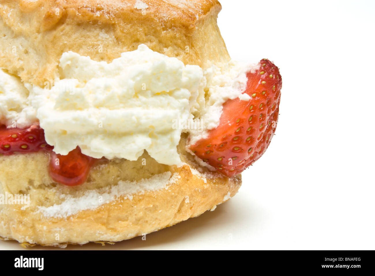 Cream Scone with strawberry from low perspective isolated against white background. Stock Photo