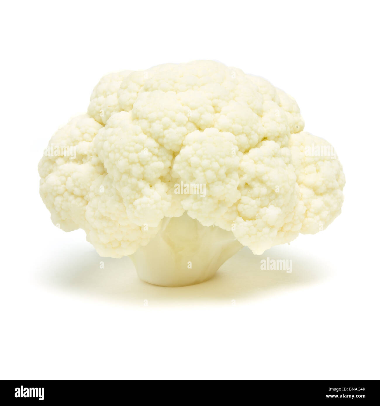 Single Cauliflower floret isolated against white background from low