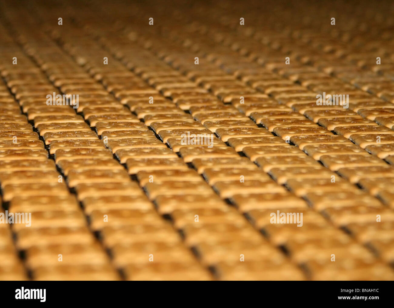 Close-up of lots of crackers moving on a confectionery fabric conveyer Stock Photo