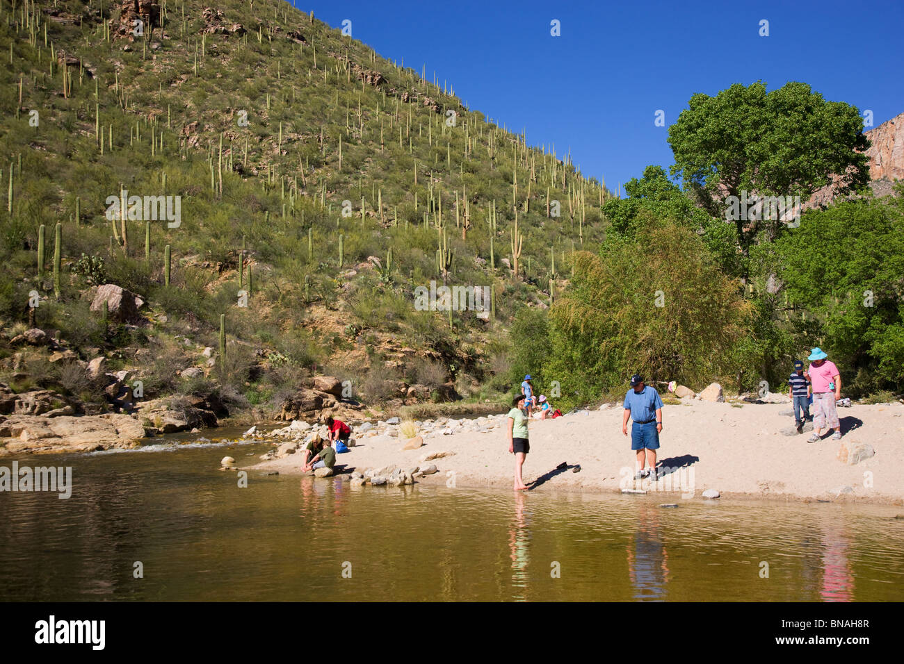 Visitors enjoy Sabino Creek, Sabino Canyon Recreation Area, Tucson, Arizona Stock Photo Alamy