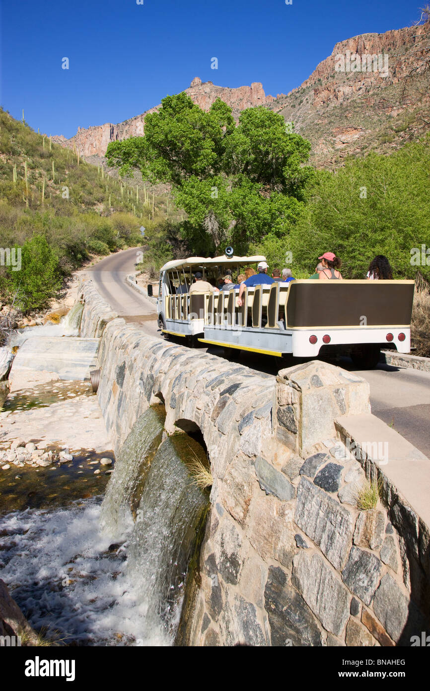 Shuttle crosses Sabino Creek, Sabino Canyon Recreation Area, Tucson, Arizona. Stock Photo