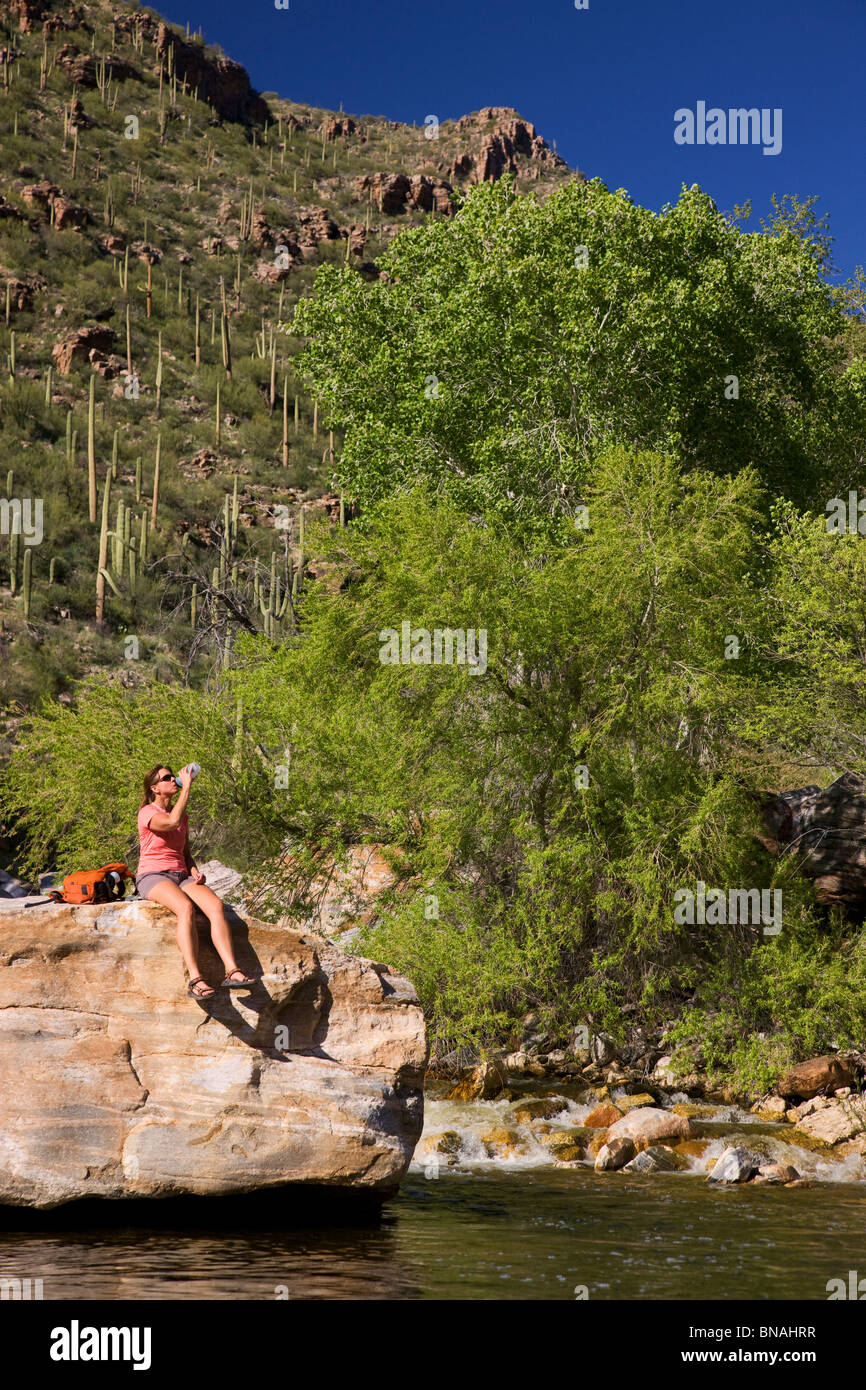 Hiker enjoying Sabino Creek, Sabino Canyon Recreation Area, Tucson, Arizona. (model released) Stock Photo
