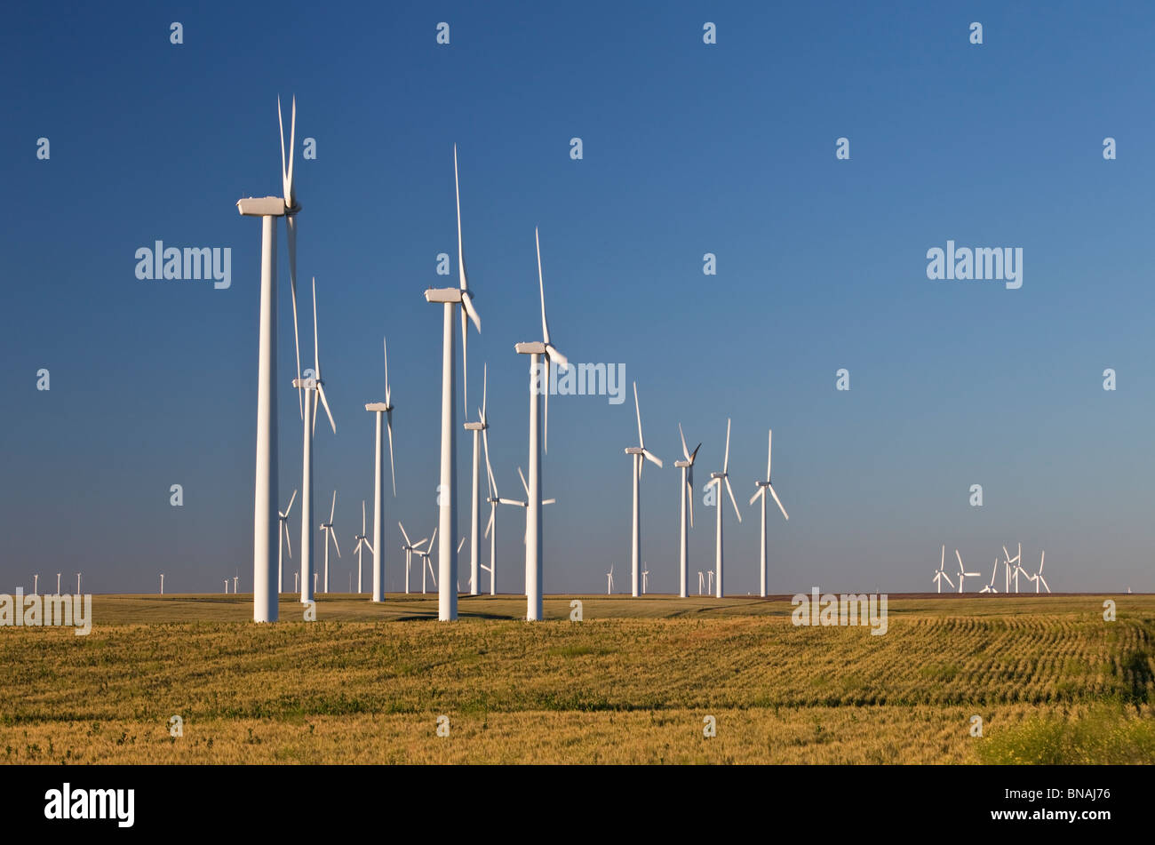 Wind farm, maturing wheat field Stock Photo