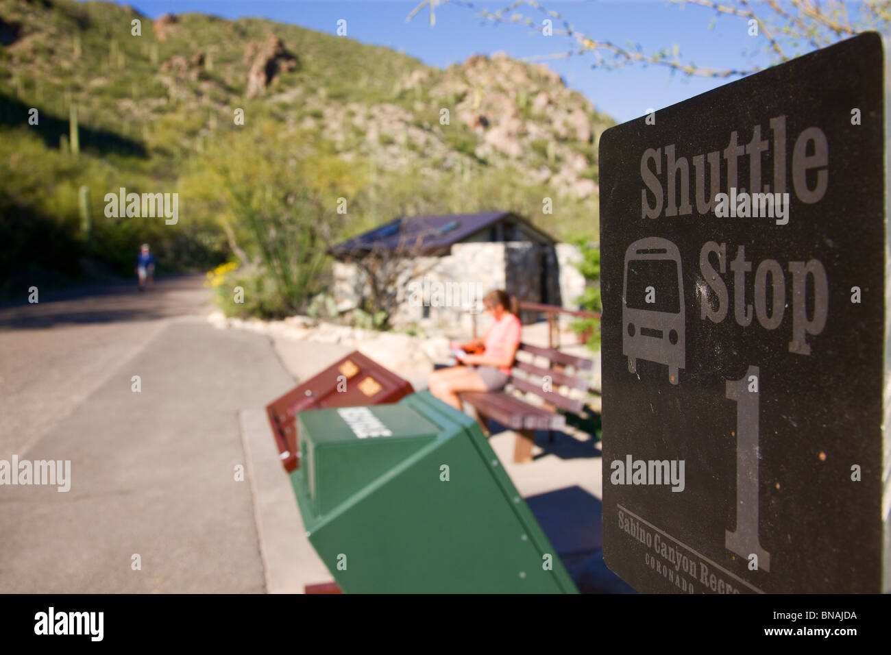 Hiker waits at Shuttle Bus stop #1, Sabino Canyon Recreation Area, Tucson, Arizona. (model released) Stock Photo