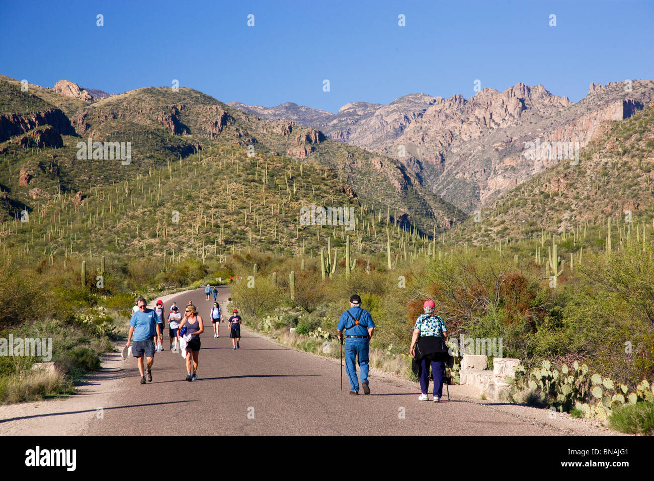 Hikers in Sabino Canyon Recreation Area, Tucson, Arizona. Stock Photo