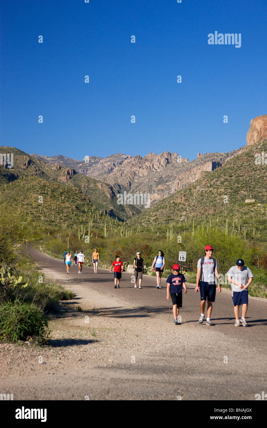 Hikers in Sabino Canyon Recreation Area, Tucson, Arizona. Stock Photo