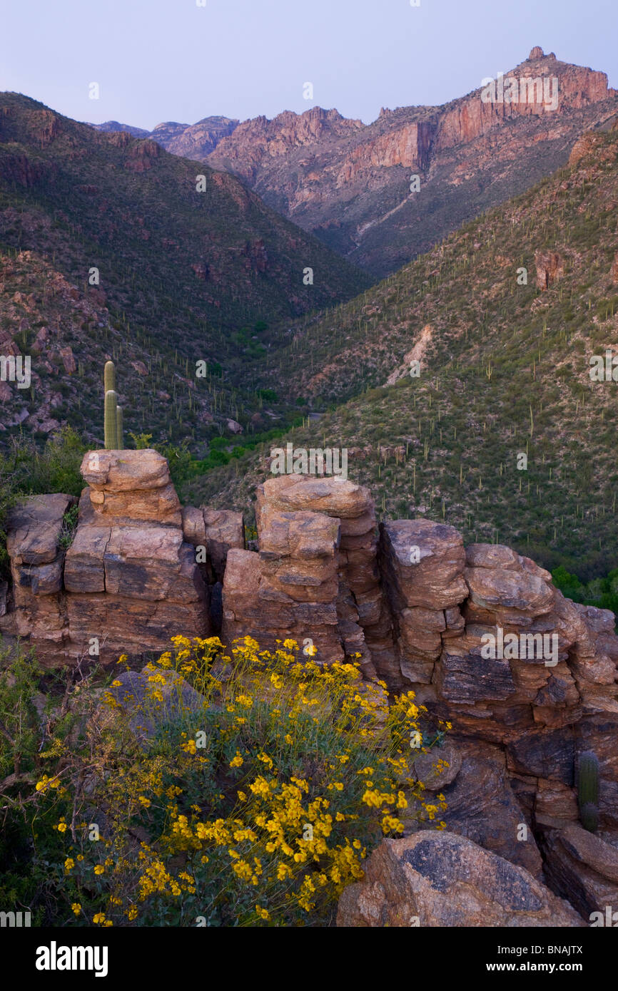 Sabino Canyon Recreation Area, Tucson, Arizona. Stock Photo