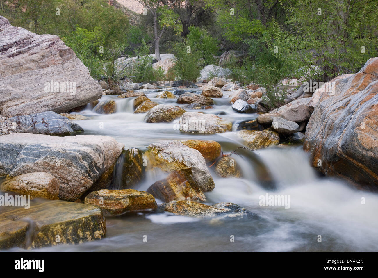 Sabino Creek, Sabino Canyon Recreation Area, Tucson, Arizona. Stock Photo