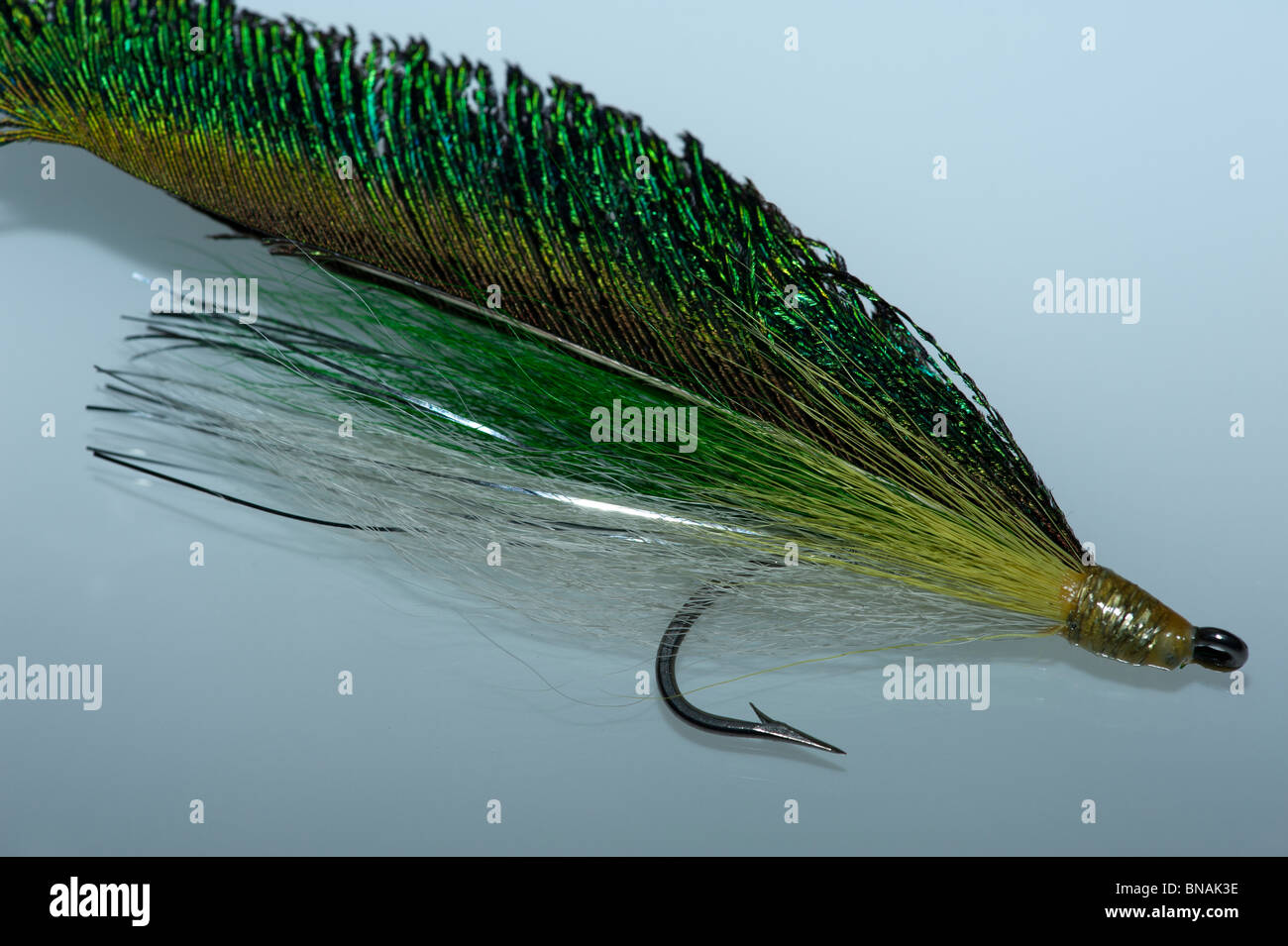 Saltwater Fly Stock Photo
