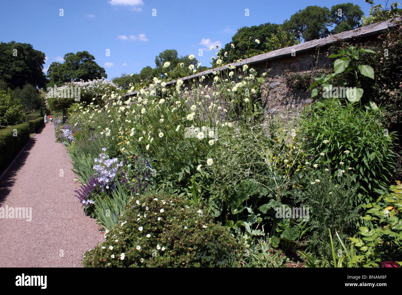 Inside the gardens of Court Rogus Devon Stock Photo