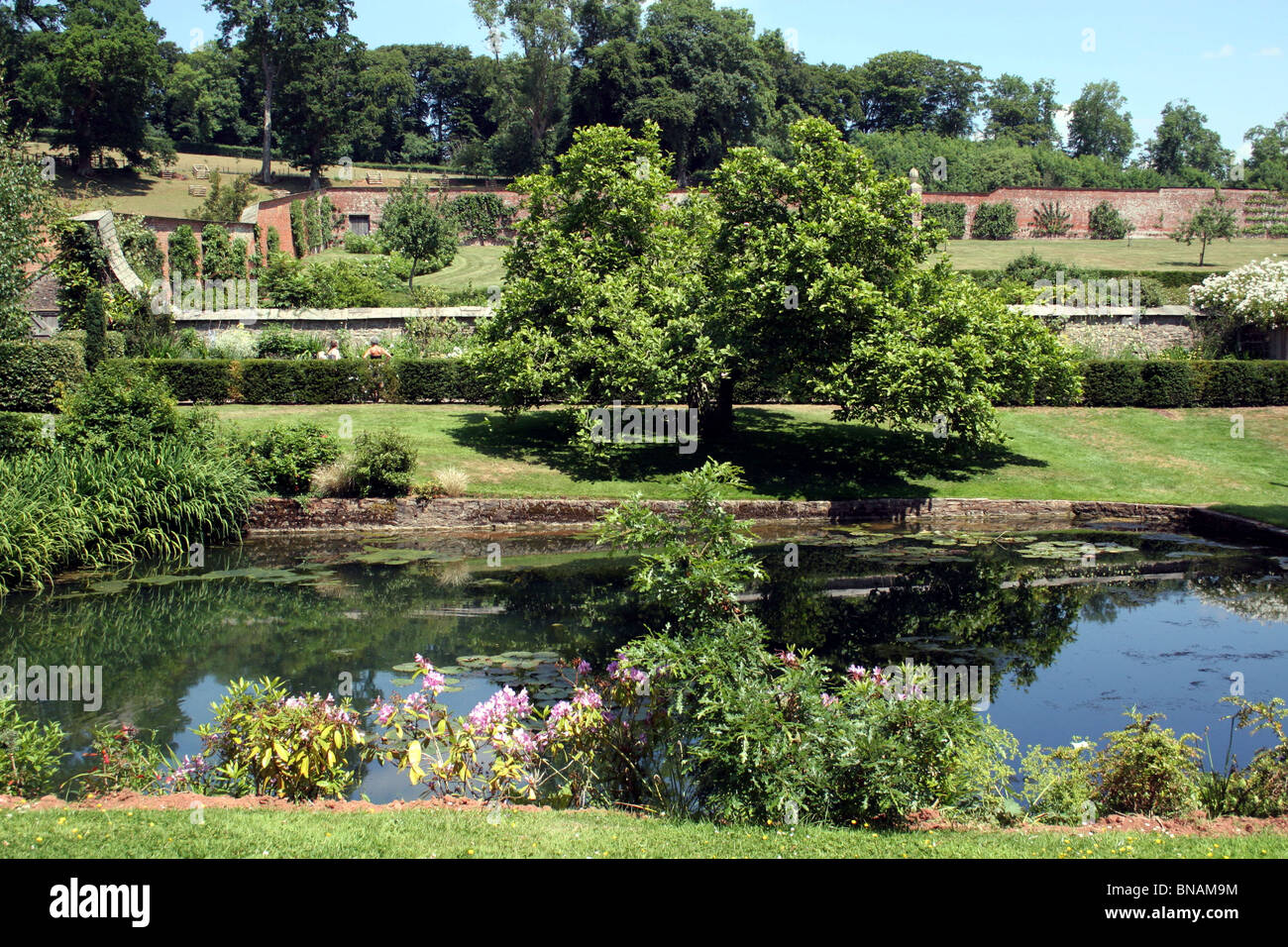 Inside the gardens of Court Rogus Devon Stock Photo
