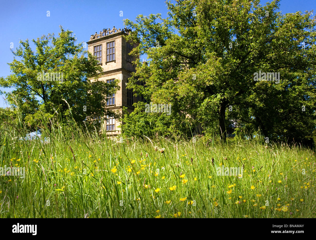 Hardwick Hall south aspect from the meadow garden Stock Photo