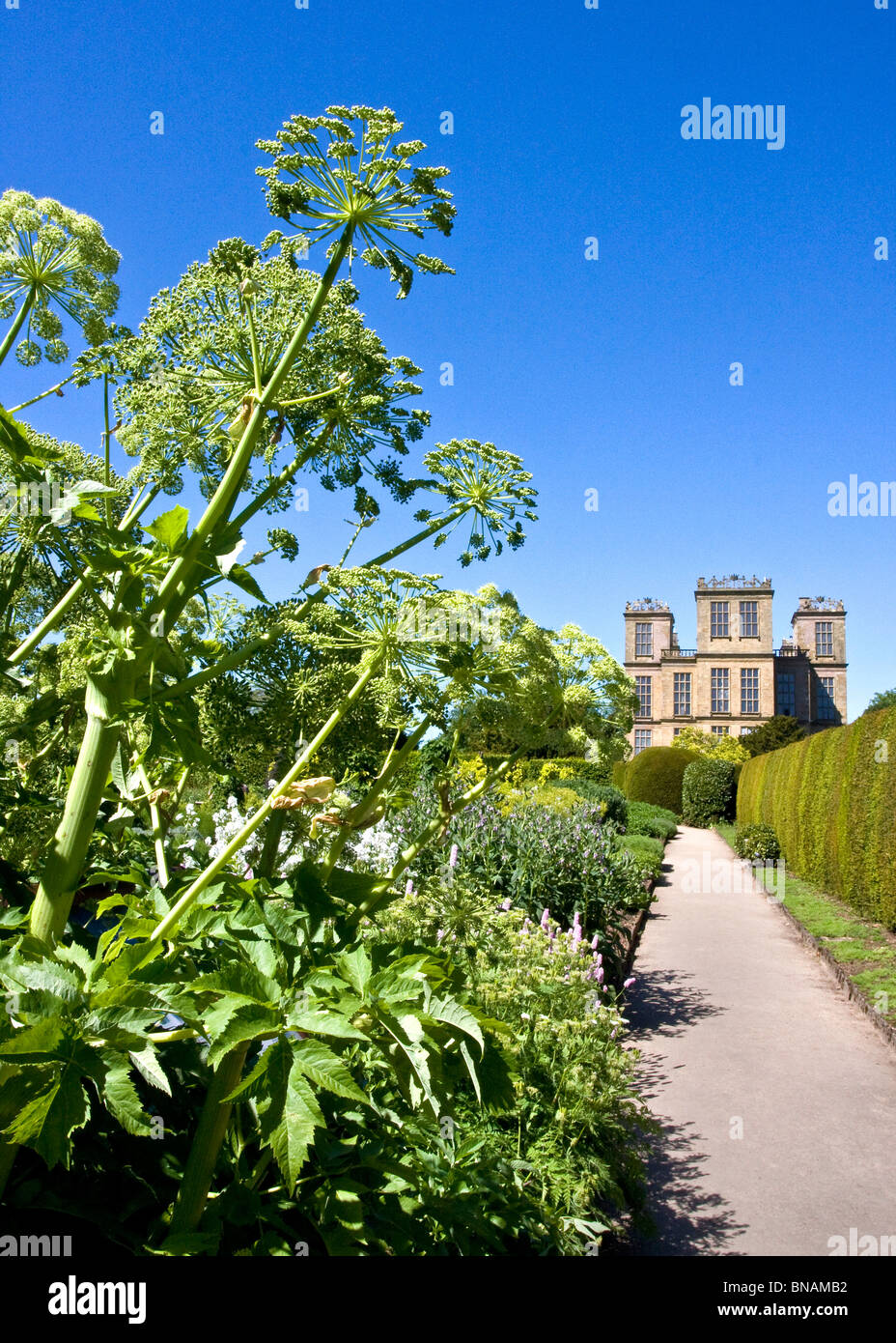 Hardwick Hall from the herb garden in spring Stock Photo