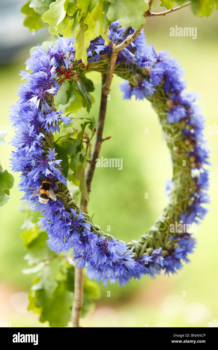 Chaplet from blue cornflowers hanging on twig with bummble-bee on it Stock Photo