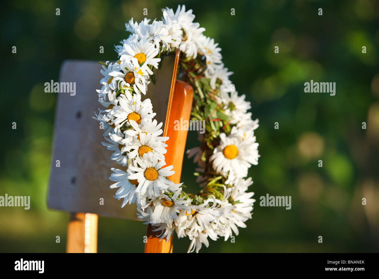Chaplet from white daisies hanging on chair Stock Photo