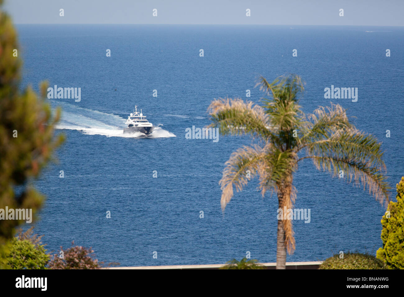 A luxury yacht heading in towards a palm tree lined shoreline Stock Photo