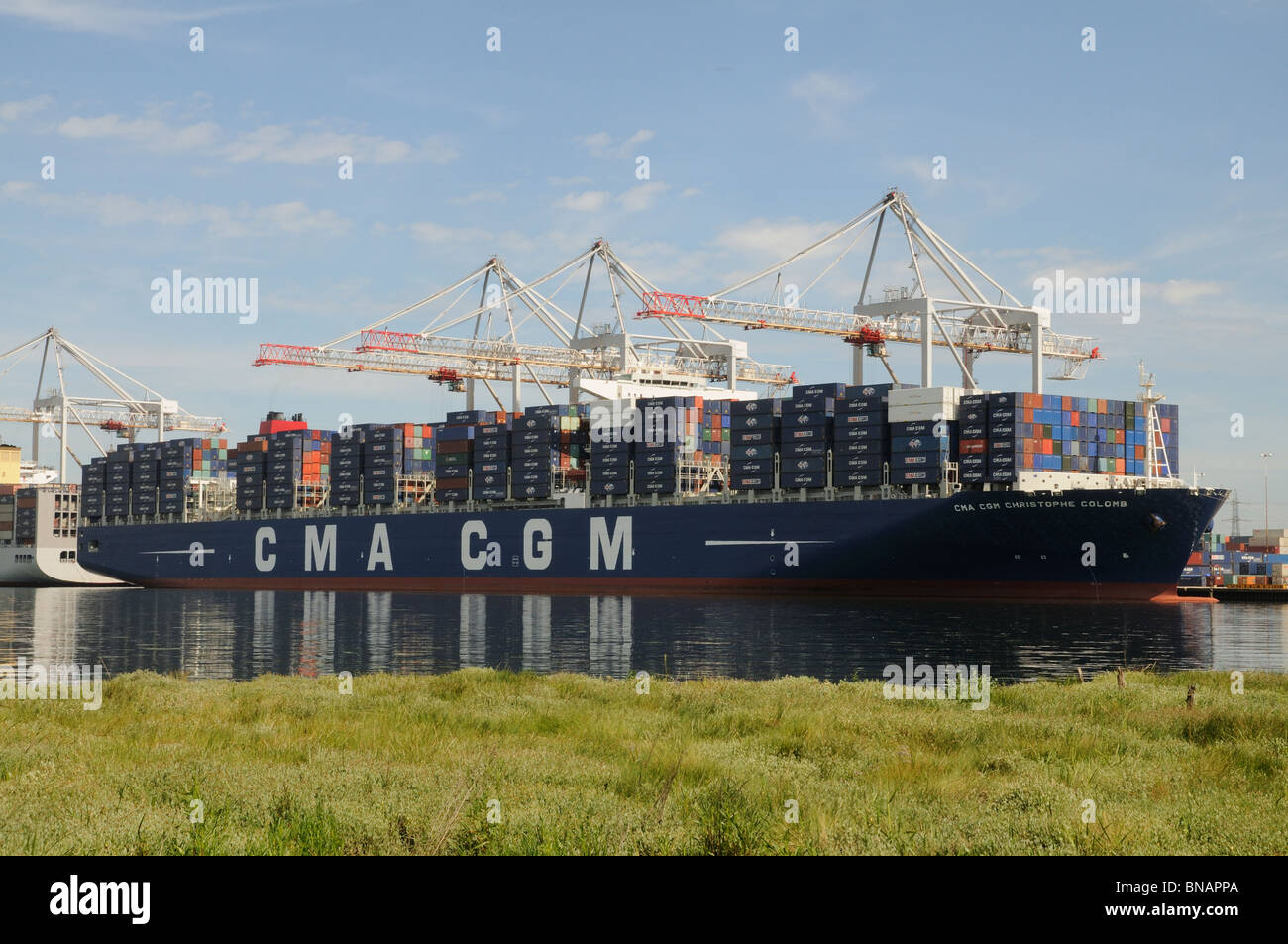 One of the worlds largest container ships the CMA CGM Christophe Colomb on the quayside at DP World Southampton England UK Stock Photo