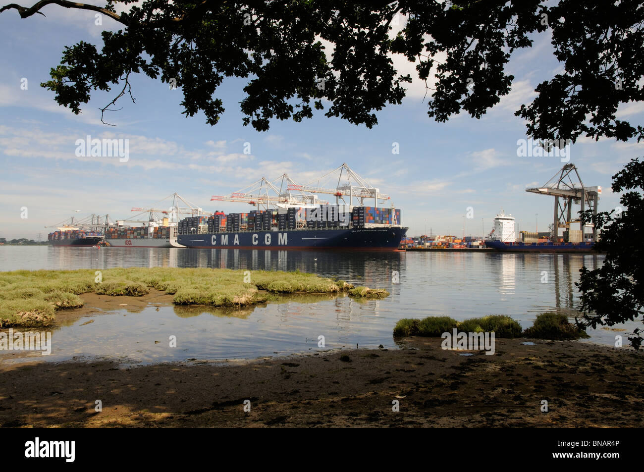 DP World ABP Southampton England UK  A large container port in southern England Stock Photo