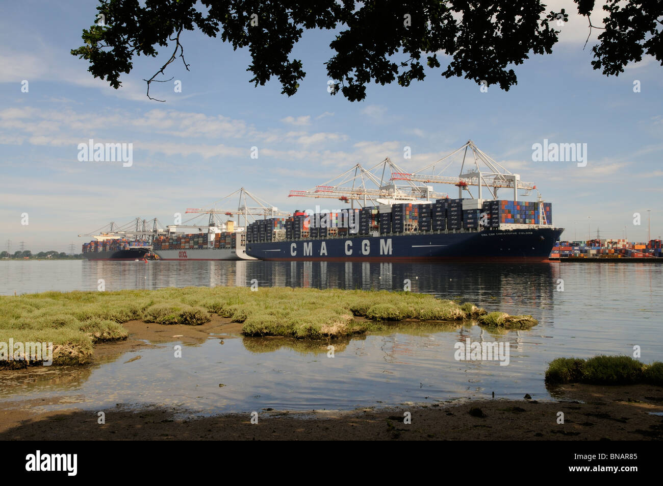 Ships on the quayside at DP World ABP Southampton England UK A large port in southern England Stock Photo