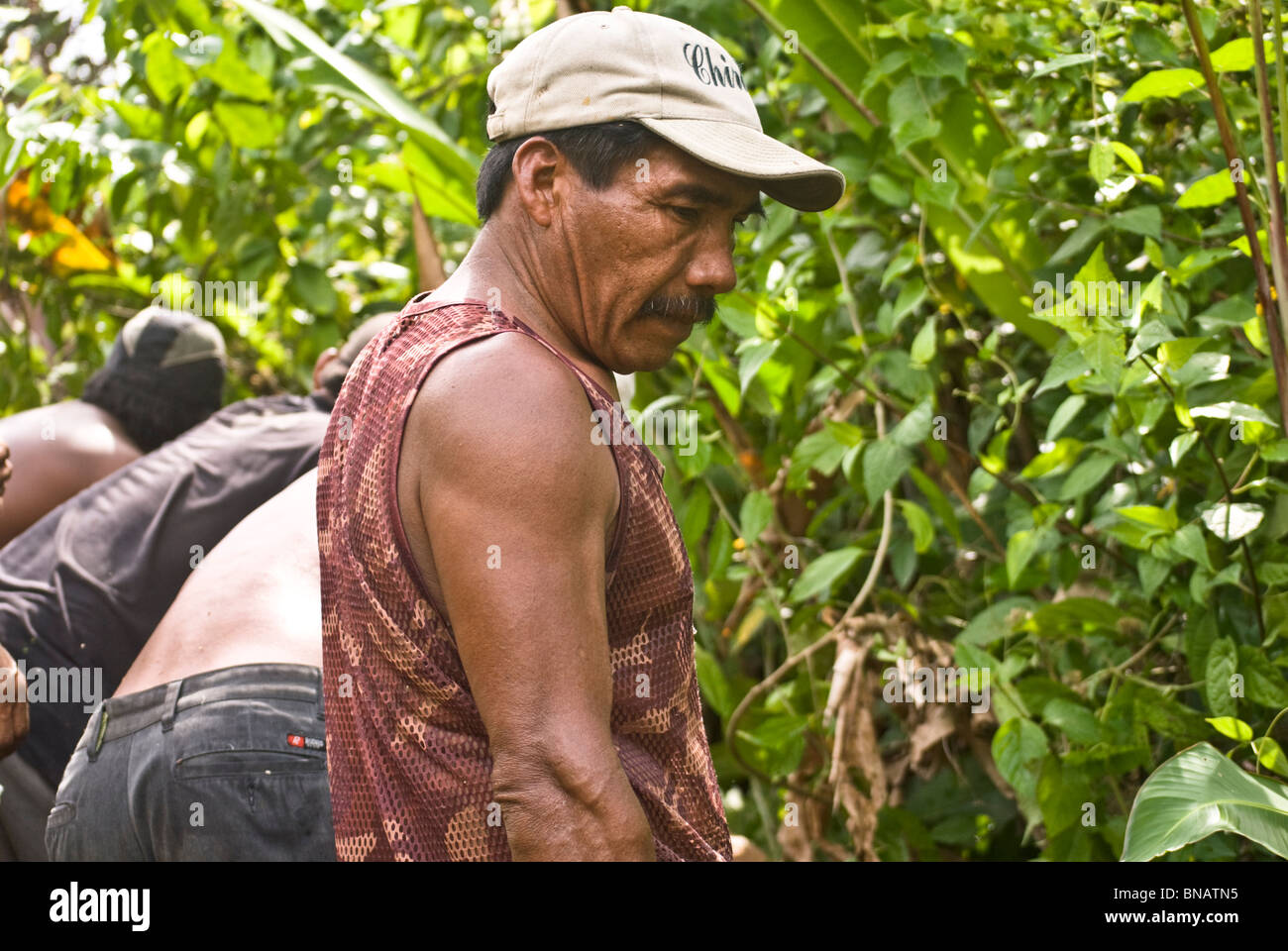 Kuna Indians haul a large ulu built in the rainforest on the mainland, through the jungle and down to the water to be launched. Stock Photo