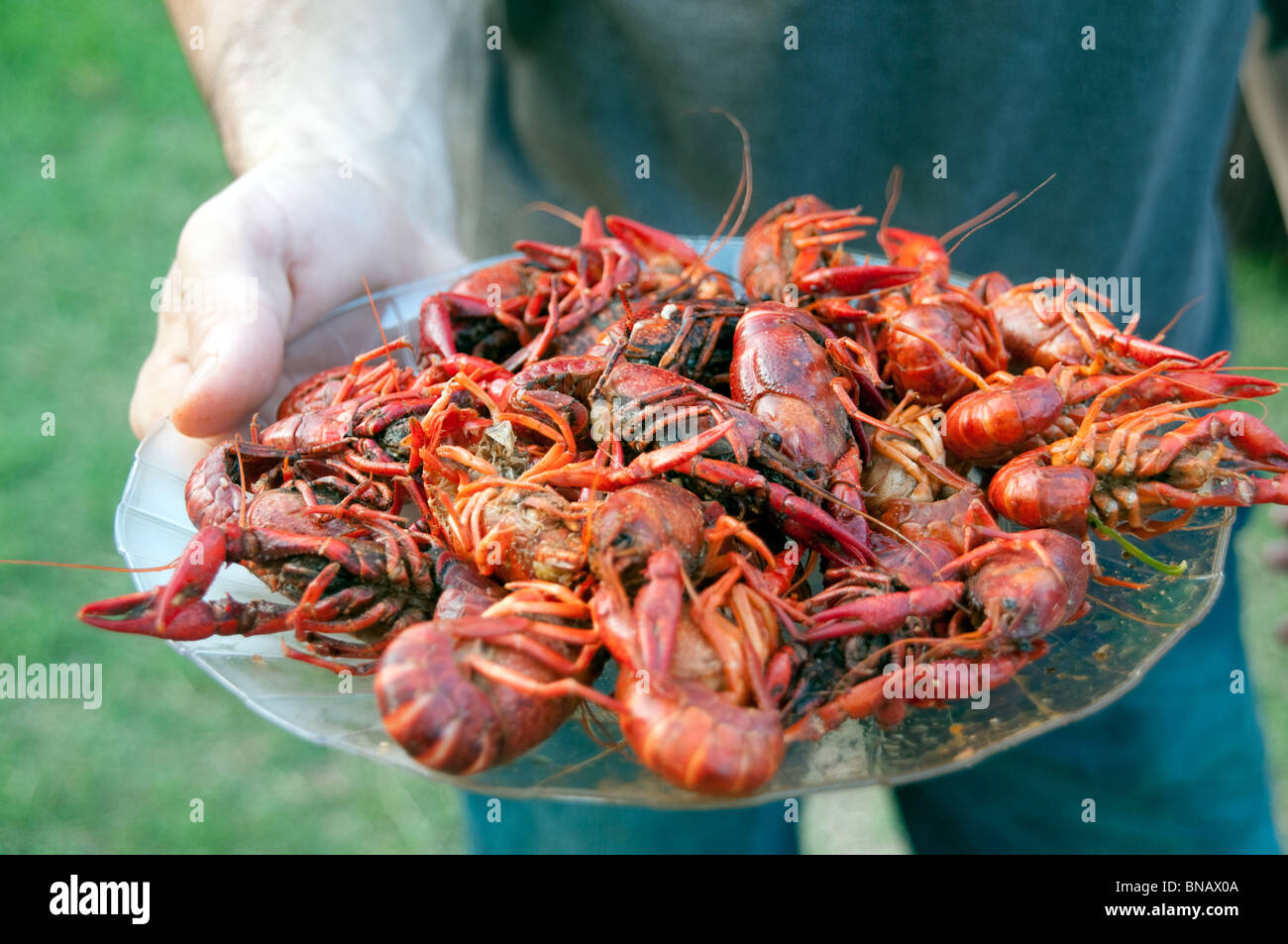 A man holding a plate of homemade spicy, boiled crawfish (or crayfish), in the town of Shreveport, Louisiana, in the southern United States. Stock Photo