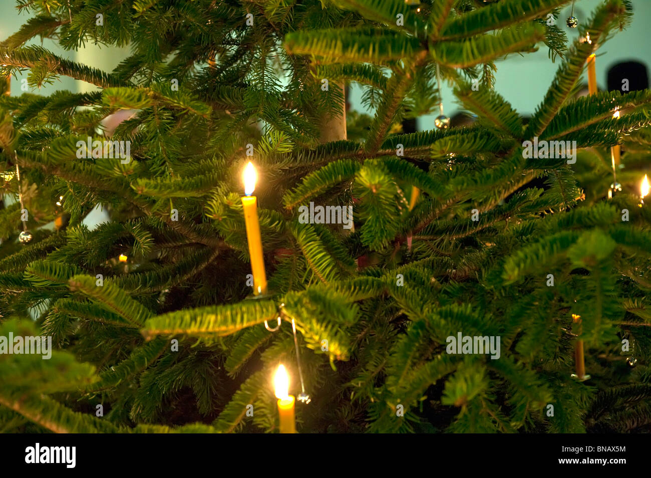 Wax candles burning on a Christmas tree in the Tate Gallery Rotunda, London Stock Photo Alamy
