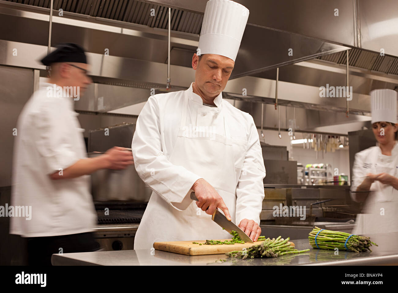 Chefs preparing food in commercial kitchen Stock Photo Alamy