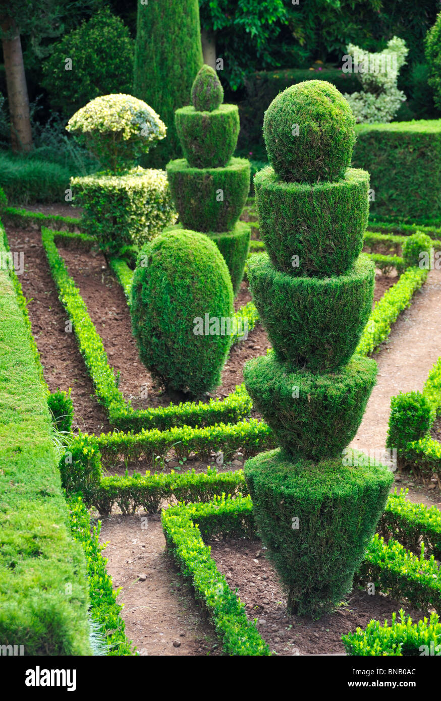 Decorative green park – Botanical garden Funchal,Madeira Stock Photo
