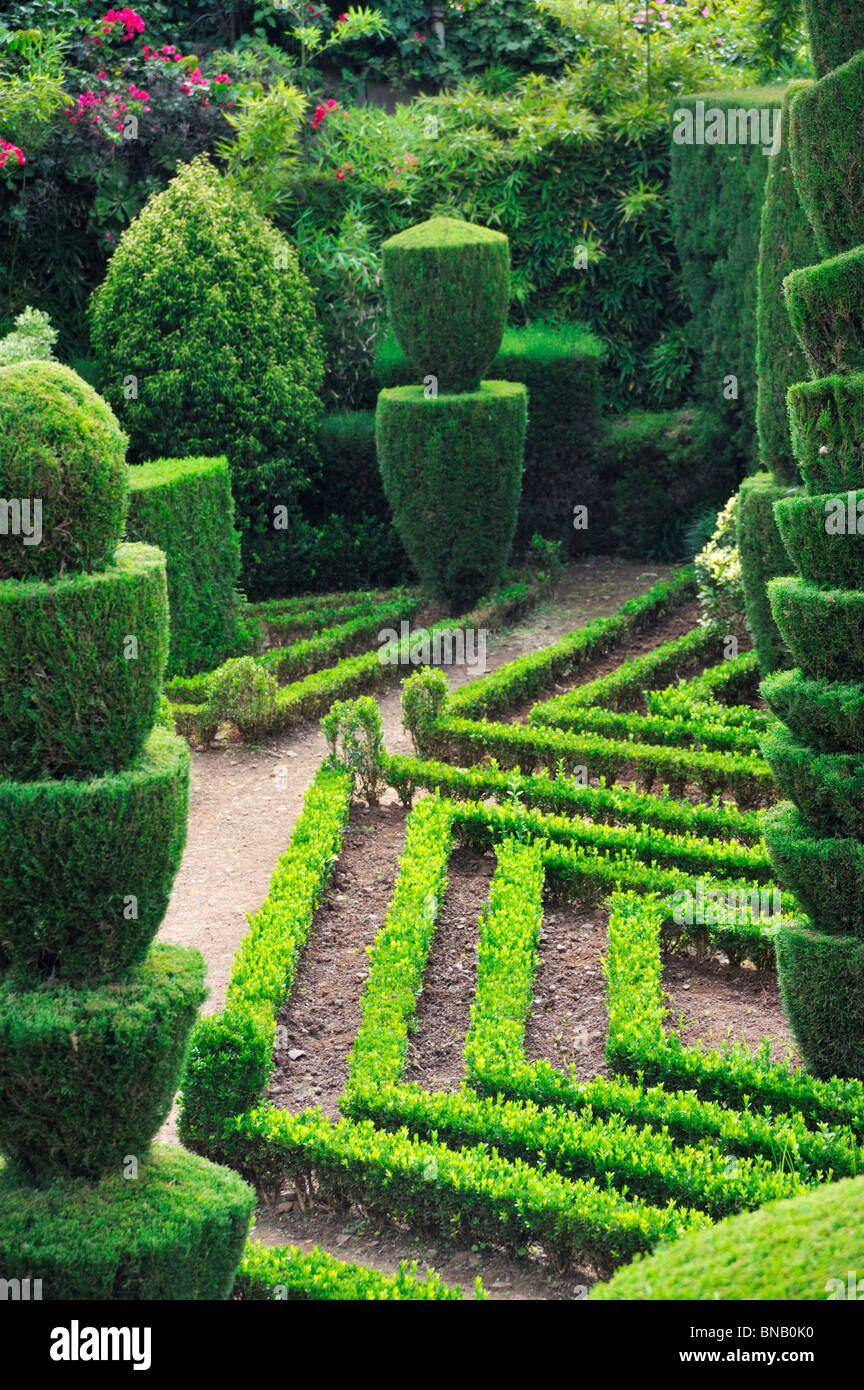 Decorative green park – Botanical garden Funchal,Madeira Stock Photo