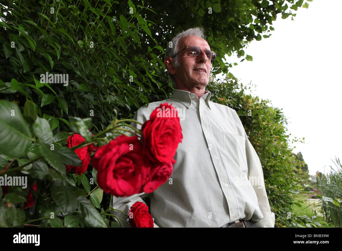 Portrait happy older man looking hi-res stock photography and images ...
