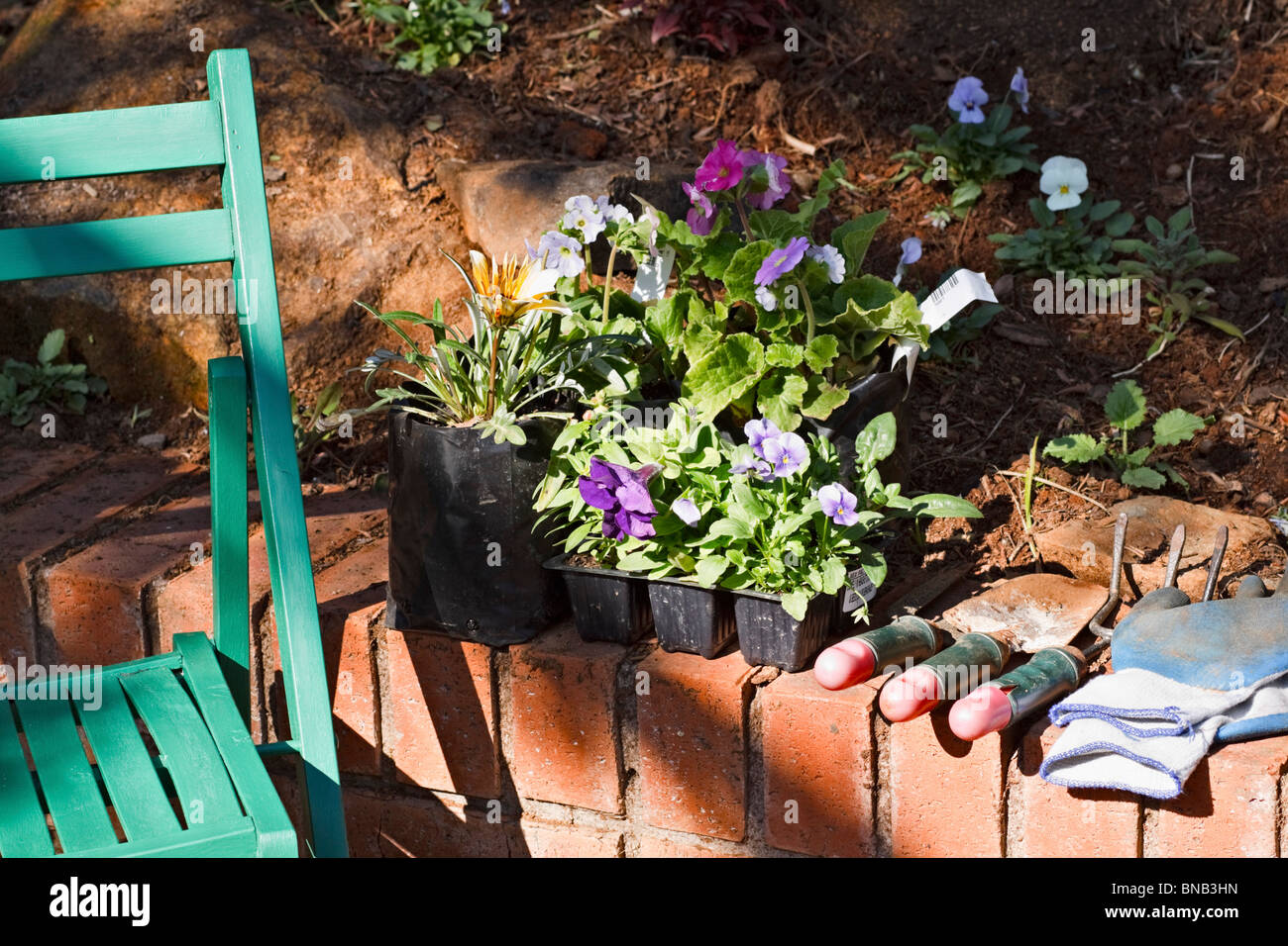 Flower seedlings in trays ready for planting Stock Photo Alamy