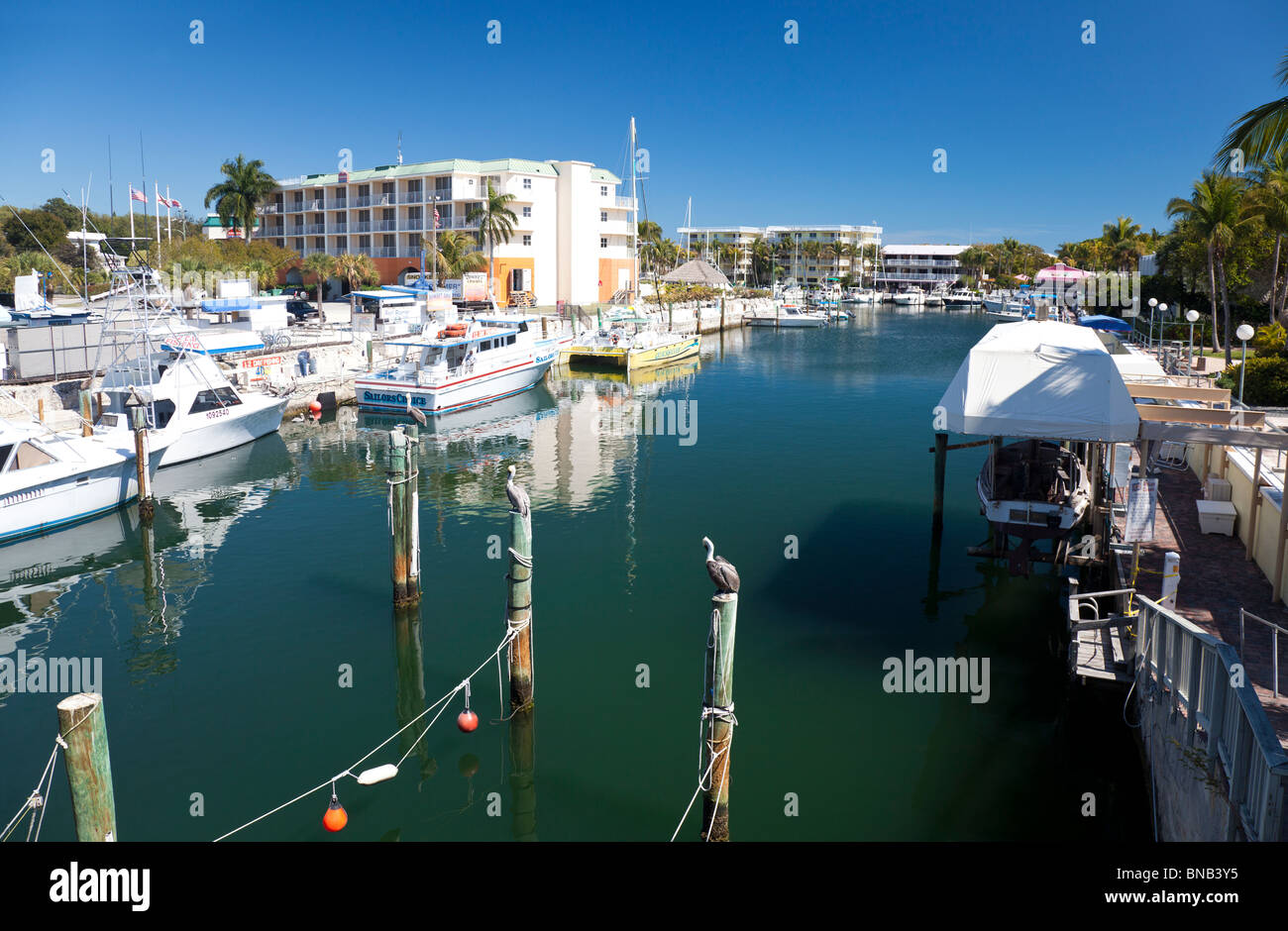 images of key largo florida